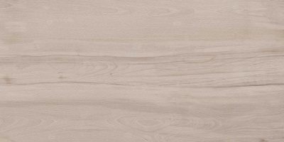 Про Вуд бежевый светлый обрезной 60x119,5x2 Про Вуд бежевый светлый обрезной 60x119,5x2