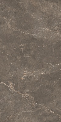 Бриансон коричневый матовый обрезной 80x160x0,9