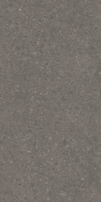 Чеппо ди Гре коричневый матовый обрезной 119,5x238,5x0,9