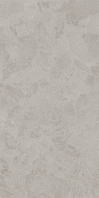 Сплит серый светлый матовый обрезной 60x119,5x0,8