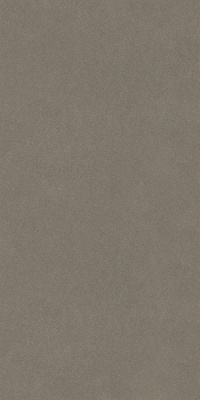 Джиминьяно коричневый лаппатированный обрезной 60x119,5x0,9