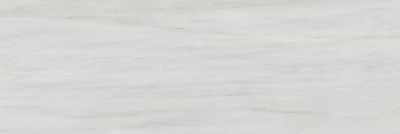 Белем серый светлый глянцевый обрезной 30x89,5x1,1