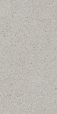 Чеппо ди Гре серый светлый матовый обрезной 119,5x238,5x0,9