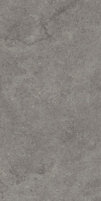 Портленд серый тёмный матовый обрезной 60x119,5x2 Портленд серый тёмный матовый обрезной 60x119,5x2