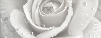 Керамический декор 15x40x0,8 Уайтxолл Роза глянцевый Керамический декор 15x40x0,8 Уайтxолл Роза глянцевый