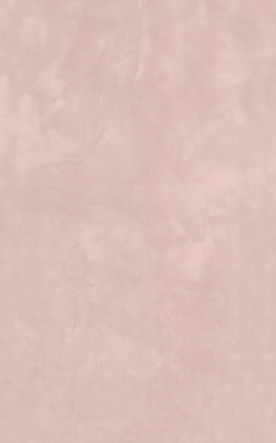Фоскари розовый глянцевый 25x40x0,8